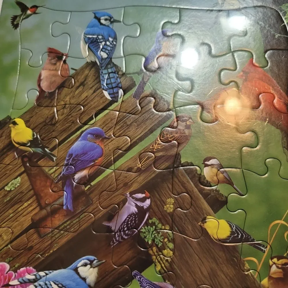 NEW Cobble Hill Tray Puzzle Wildbird Gathering
